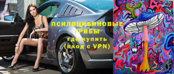 ALPHA PVP Кодинск