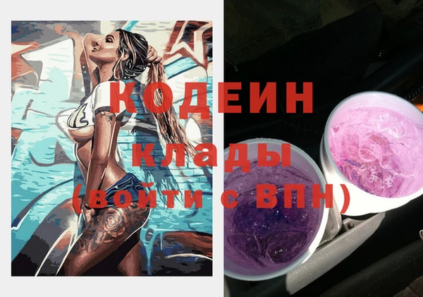 сатива Козловка