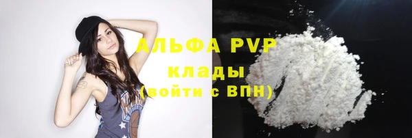 сатива Козловка