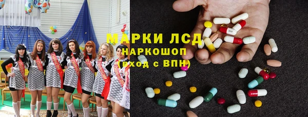 сатива Козловка