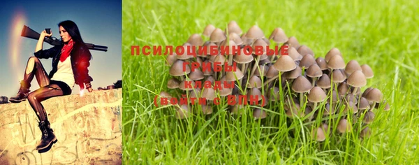 сатива Козловка
