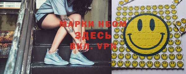 сатива Козловка