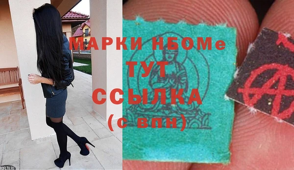 сатива Козловка