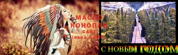 сатива Козловка