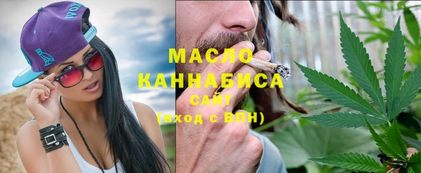 сатива Козловка