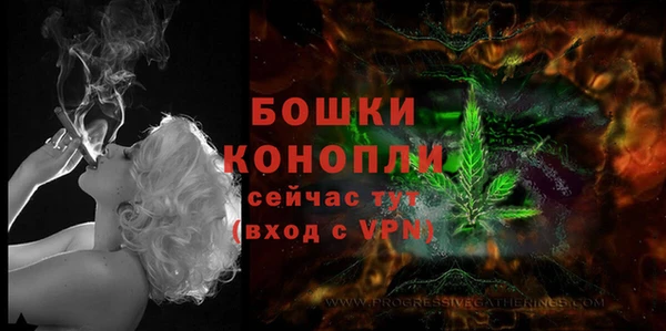 сатива Козловка