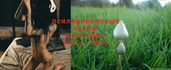 стафф Козельск