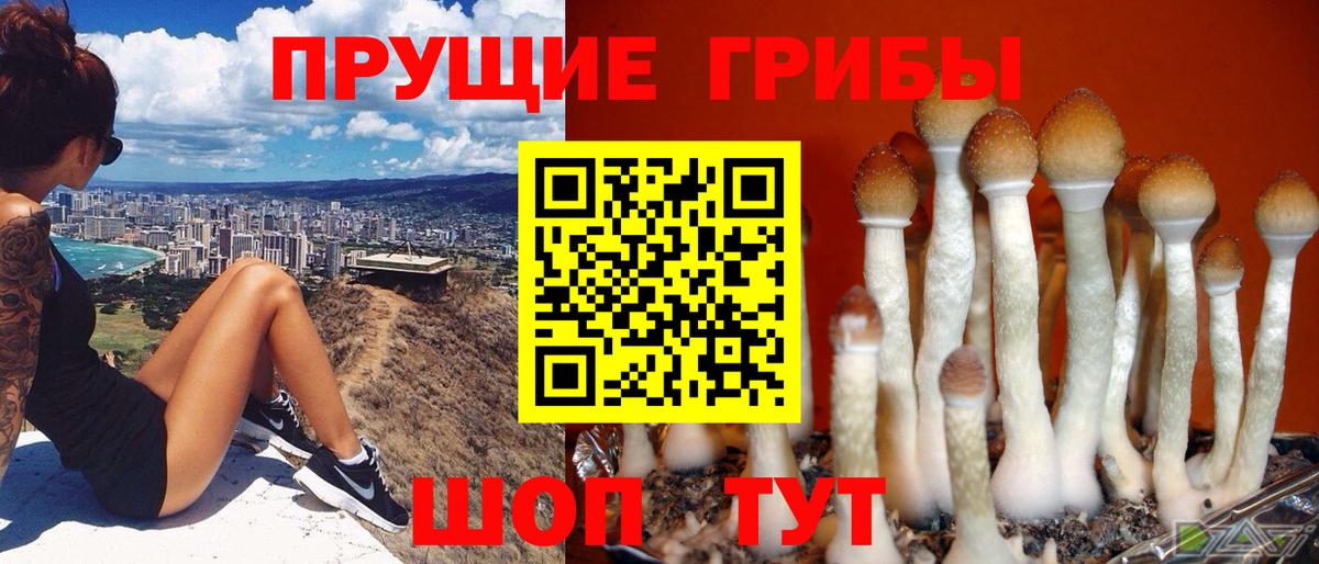 наркота  Псилоцибиновые грибы мухоморы  Вход с VPN  Курган 